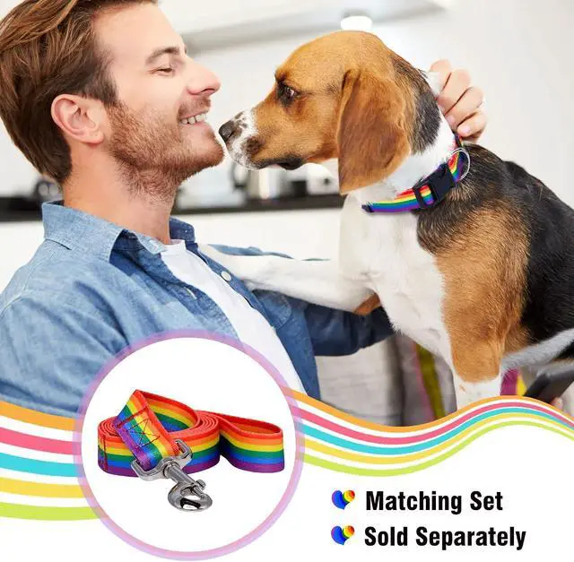 Alt view image 5 of 6 - Native Pup Rainbow Flag Dog Collar Gay Pride Stuff for Parade, LGBTQ Flags Equality Pet Apparel Decor Gift and LGBT Ally Accessories (Small)