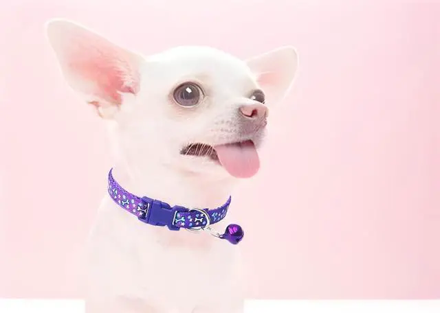Alt view image 2 of 6 - XS Dog Collar with Bell, 2 Pack Nylon Cute Puppy Collar with Bell, Green | Adjustable Bells Collar for Walking Male Female XXS XS S Puppies Little Tiny Pets Animals