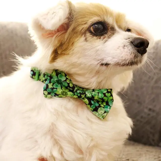 Alt view image 3 of 6 - St Patrick Day Dog Bow Tie with Collar, Irish Holiday Shamrock Lucky Collar for Boys and Girls Large Medium Pets Puppies (St. Patrick's Day, Large-(16-27") Neck * 1" Wide)