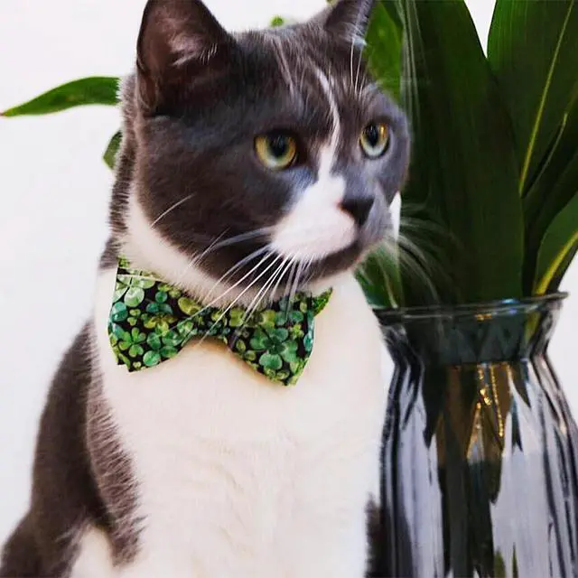 Alt view image 5 of 6 - St Patrick Day Dog Bow Tie with Collar, Irish Holiday Shamrock Lucky Collar for Boys and Girls Large Medium Pets Puppies (St. Patrick's Day, Large-(16-27") Neck * 1" Wide)