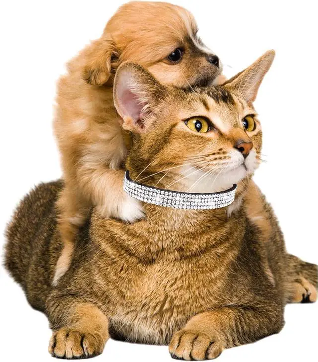 Alt view image 2 of 6 - Cat Collars for Girl Cats with Rhinestone Soft Velvet,Breakaway Cat Collars with Bell,Adjustable Safe Kitten Collar (Black)
