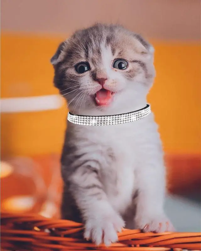 Alt view image 3 of 6 - Cat Collars for Girl Cats with Rhinestone Soft Velvet,Breakaway Cat Collars with Bell,Adjustable Safe Kitten Collar (Black)