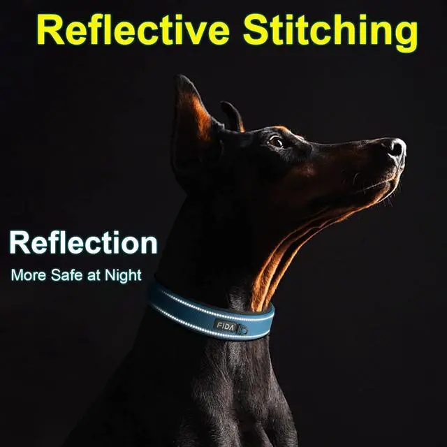 Alt view image 5 of 7 - Fida Padded Dog Collar for Small Dogs with Metal Belt Buckle, Blue | Soft Neoprene Padded for Extra Comfort, Durable Nylon Webbing, Adjustable Fit, Reflective Stitching for Night Safety