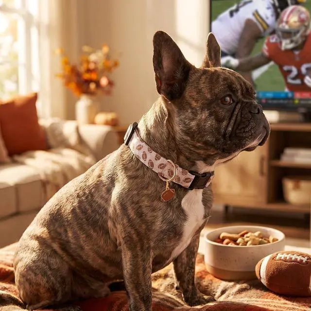 Alt view image 2 of 7 - Cotton Dog Collar,Soft and Cute Puppy Collars with Dinosaur Patterned Design for Girl Female Boy Dogs,Adjustable Buckle Pet Collar for Small Medium Large Dogs (Brown Rugby, Medium)