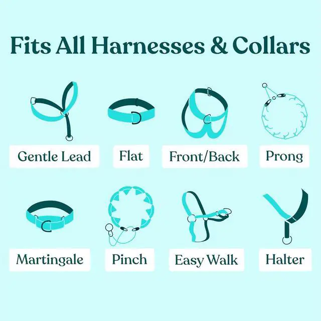 Alt view image 6 of 6 - Gentle Creatures Collar Companion Adjustable Dog Safety Backup Clip | for harness, prong, pinch, martingale collars; double-ended swivel clasp; anti-escape; prong collar safety clip