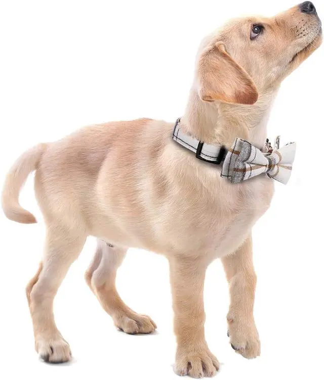 Alt view image 6 of 6 - Faleela Soft &Comfy Bowtie Dog Collar,Detachable and Adjustable Bow Tie Collar,for Small Medium Large Pet (S, Beige)