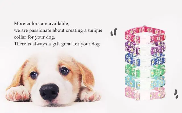 Alt view image 6 of 7 - Girl Dog Collars with Daisy Patterns, Cute Nylon Dog Collar for Puppy, Adjustable Soft Durable Pet Collars for Cat XS Small Medium Large Dogs (Light Blue, Large)