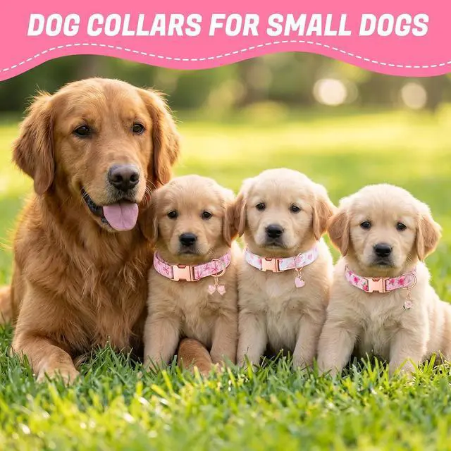 Alt view image 5 of 7 - 3 Pack Pink Dog Collars for Small Dogs Girl Dog Collar with Pendant | Girl Female Dogs Adjustable Puppy Collars Pet Collar