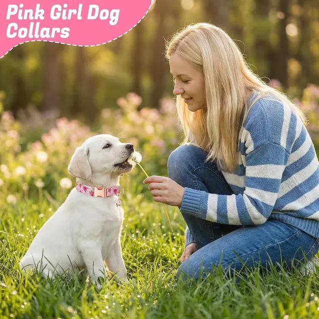 Alt view image 7 of 7 - 3 Pack Pink Dog Collars for Small Dogs Girl Dog Collar with Pendant | Girl Female Dogs Adjustable Puppy Collars Pet Collar