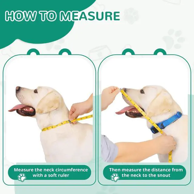 Alt view image 4 of 6 - GLADOG Soft Dog Cone Collar, 3 PCS (XL is Only 1 PCS) Flexible Plastic Cone for Dogs After Surgery, Dog Recovery Collar, Adjustable E-Collar for Large/Medium/Small Dogs Cat, Comfy Elizabethan Collar