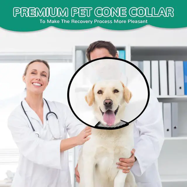 Alt view image 6 of 6 - GLADOG Soft Dog Cone Collar, 3 PCS (XL is Only 1 PCS) Flexible Plastic Cone for Dogs After Surgery, Dog Recovery Collar, Adjustable E-Collar for Large/Medium/Small Dogs Cat, Comfy Elizabethan Collar
