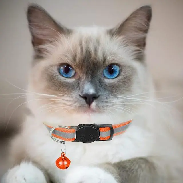 Alt view image 3 of 5 - 2 Pack Cat Collars Quick Release Reflective Kitten Collar with Bell & Safety Release (Orange)