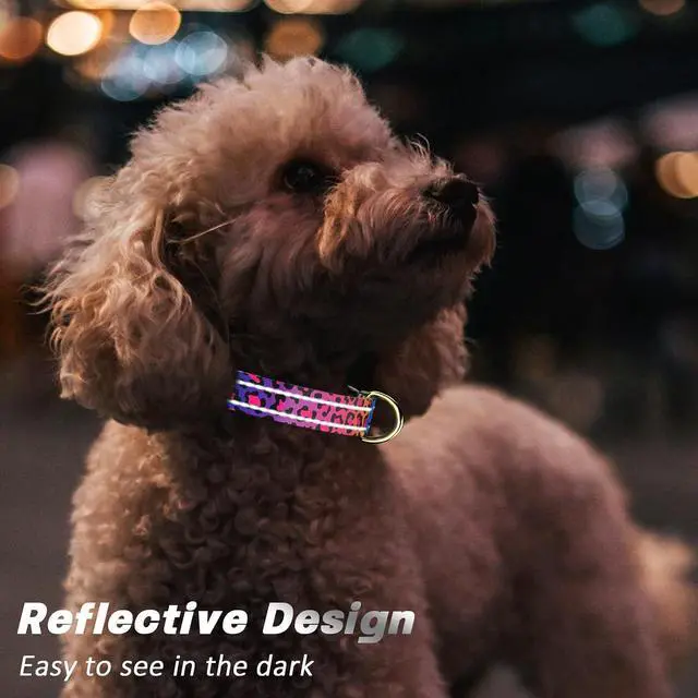 Alt view image 3 of 7 - Reflective Dog Collar, Adjustable Puppy Collar, Neon Leopard, XS | Neck Fit 8-12", Stylish Print Design, Heavy Duty Breathable Nylon, Soft Comfort Fit, Night Walking Safety, Outdoor Activities