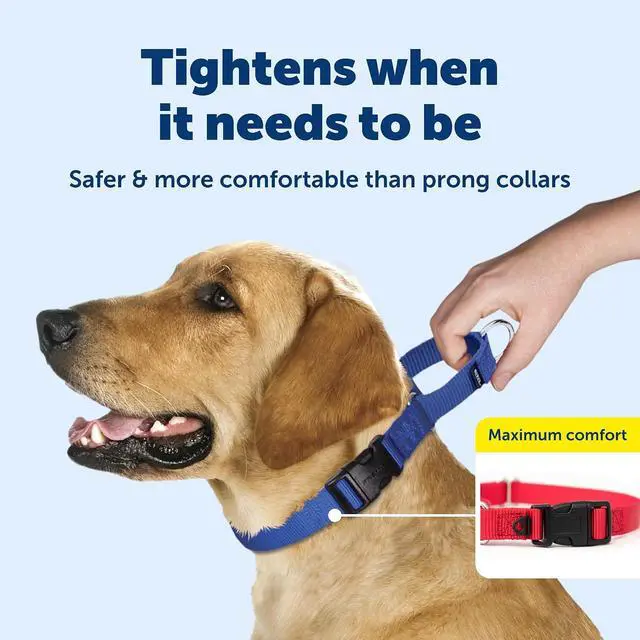 Alt view image 3 of 7 - PetSafe Martingale Quick-Snap Dog Collar, Deep Purple, 3/4 in, Small | Tightens When Dog Pulls, Loosens When Calm for a Secure, Escape-Resistant Fit, Durable Nylon, Quick-Snap Buckle