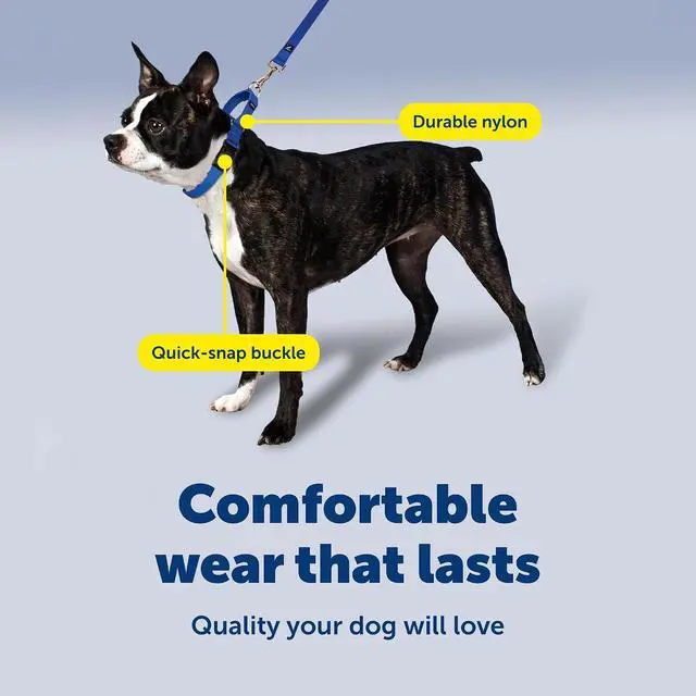 Alt view image 4 of 7 - PetSafe Martingale Quick-Snap Dog Collar, Deep Purple, 3/4 in, Small | Tightens When Dog Pulls, Loosens When Calm for a Secure, Escape-Resistant Fit, Durable Nylon, Quick-Snap Buckle