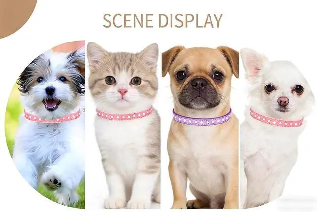Alt view image 2 of 7 - Bling XS Dog Collar,Diamond Rhinestone Sparkly Puppy Cat Collar Hot Pink | XS Dog Collar Bling Puppy Crystal Pet kitten Collars for Adjustable xsmall medium large breed girl female Hot Pink