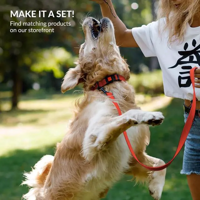 Alt view image 6 of 7 - Reflective Dog Collar, Quick-Release Buckle (Orange, 14-18 Inch) | Reflective Nylon, Swim-Safe, Quick-Release Buckle, for Small to Large Dogs & Puppies