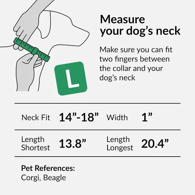 Alt view image 7 of 7 - Reflective Dog Collar, Quick-Release Buckle (Orange, 14-18 Inch) | Reflective Nylon, Swim-Safe, Quick-Release Buckle, for Small to Large Dogs & Puppies