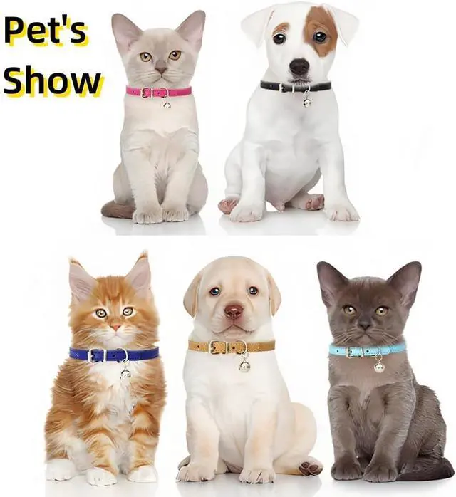 Alt view image 4 of 5 - Purple XXS Dog Collar with Bell,Soft Pu Leather Female Puppy Collar with Bells Basic Girls Cat Collar with Bells for XXS XSmall Small Medium Pet Cats Kitten Tiny Animal Yorkie Chihuahua,XXSmall