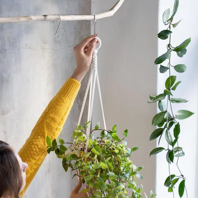 Alt view image 3 of 5 - Yikla S Hooks - Heavy Duty Small S Shaped Hooks for Hanging Clothes, Plants, Pots - Made of Stainless Steel, 20 Pack