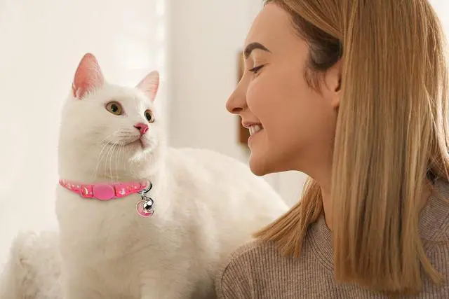 Alt view image 6 of 7 - Baeuppit 2PCS Breakaway Cat Collars with Bell Moons Stars Cute Kitty Adjustable Safe Kitten Collars with Pendant Glow in The Dark(Black&Pink)