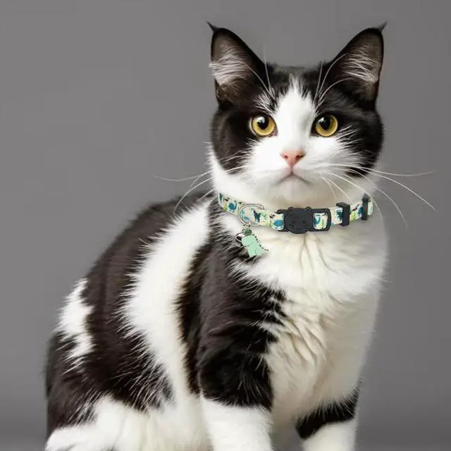 Alt view image 3 of 7 - Cat Collars for Boy Cats, 2 Pack Breakaway Cotton Kitten Collar with Bells and Removable Charms, Cute Dinosaurs Shaped