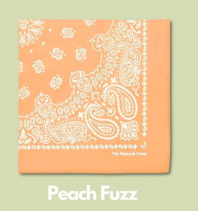Alt view image 7 of 7 - The Peacock Crew Premium Soft Cotton Designer Bandana for Men and Women 22x22 in