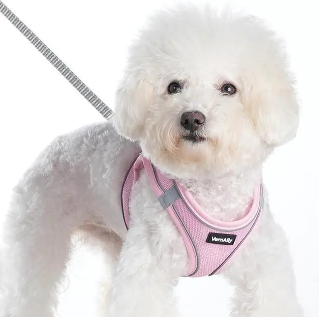 Main image of Sparkly Dog Harness Small Sized and Leash Set for Small Dogs Cats,Pink XXS Puppy Harness, Step in Soft Dog Reflective Vest, Breathable Mesh Pet Harness. (Pink, XXS)