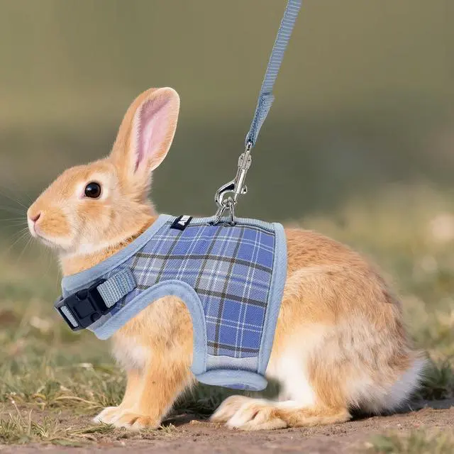 Alt view image 6 of 7 - AIITLE Adjustable Soft Harness with Leash for Rabbits, Blue S | Magic Tape Design, Lightweight Plaid Pattern Mesh Padding, No Choke No Pull for Puppy Cat Squirrel Ferret, Outdoor Walking
