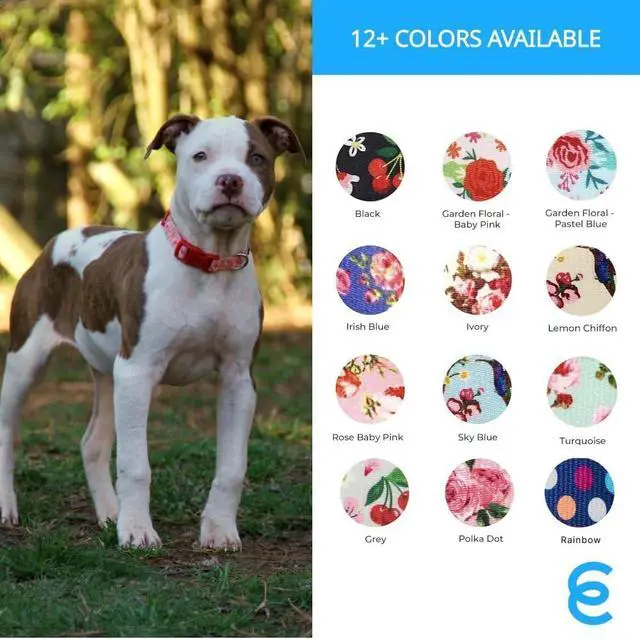 Alt view image 5 of 7 - Blueberry Pet Essentials Spring Scent Inspired Garden Floral Adjustable Dog Collar in Baby Pink, Large, Neck 18"-26"