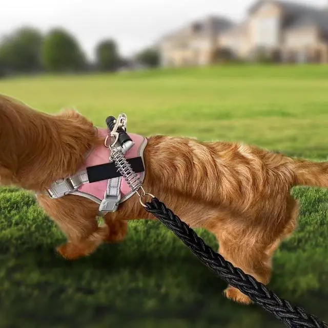 Alt view image 6 of 7 - Dog Leash Metal Shock Absorbing Spring Chew Proof Dog Chain,Camping Tent Springs Buckle Set Springs.Porch Swing Springs Buckle for Securing Tarps Tents Sunshade and Large Dogs (2 Pack)