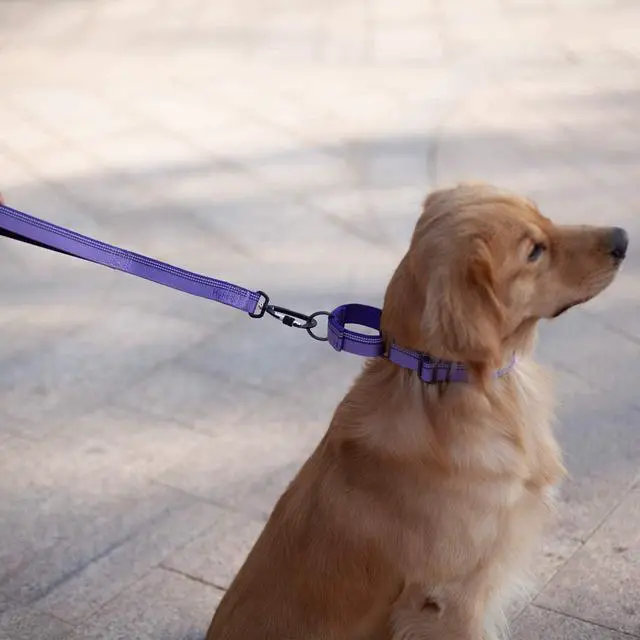 Alt view image 3 of 6 - Hyhug Pets 18 Inches Short Leash with 3M Reflective Safe - Fashion and Sturdy Jacquard Weave Nylon Lead for Giant Large Medium Dogs Walking, Jogging,Camping and Training. (18 Inch, Ultra Violet)
