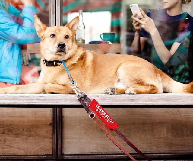 Alt view image 3 of 5 - Rescue I Need Space Funny Red Dog Leash Sleeve Wrap Dog Walking Accessory - Pet Birthday Gift - Gift for Dog Owner and Lover