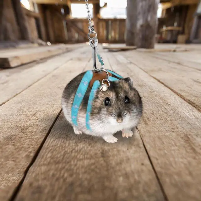 Alt view image 5 of 7 - Hypeety Syrian Hamster Leash Harness Set Adjustable Training Lead, Blue | Adjustable 3.14-7.07'' chest, 32.60'' lengh, soft nylon leash with finder bells, for hamster/rat/gerbil, easy to put on, blue