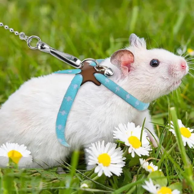 Alt view image 6 of 7 - Hypeety Syrian Hamster Leash Harness Set Adjustable Training Lead, Blue | Adjustable 3.14-7.07'' chest, 32.60'' lengh, soft nylon leash with finder bells, for hamster/rat/gerbil, easy to put on, blue