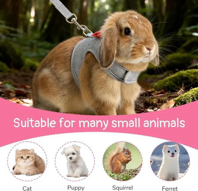 Alt view image 3 of 6 - Bunny Harness and Leash Set, Cute Bow Rabbit Vest Soft Breathable Mesh Rabbit Leash and Harness Set Escape Proof Walking Gear for Rabbits, Ferrets, Kittens, Guinea Pigs, Grey M