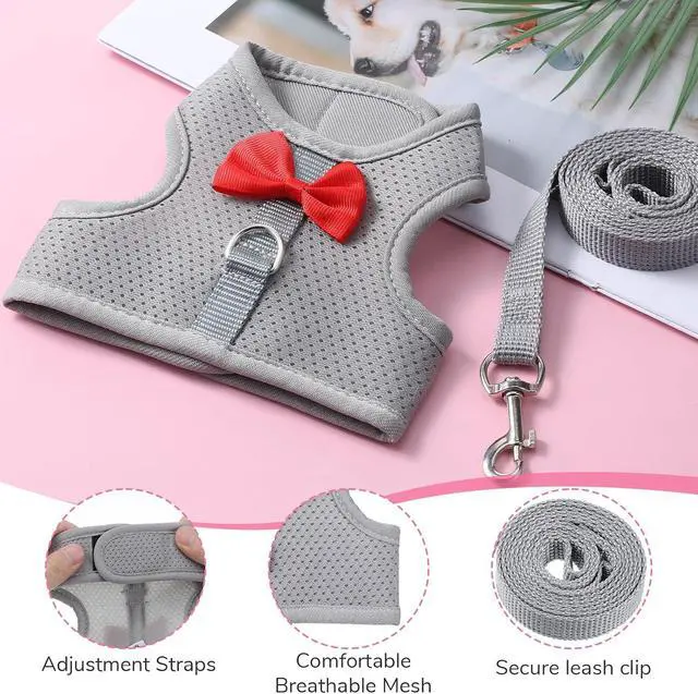 Alt view image 5 of 6 - Bunny Harness and Leash Set, Cute Bow Rabbit Vest Soft Breathable Mesh Rabbit Leash and Harness Set Escape Proof Walking Gear for Rabbits, Ferrets, Kittens, Guinea Pigs, Grey M