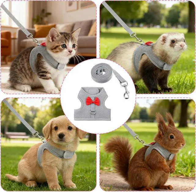Alt view image 6 of 6 - Bunny Harness and Leash Set, Cute Bow Rabbit Vest Soft Breathable Mesh Rabbit Leash and Harness Set Escape Proof Walking Gear for Rabbits, Ferrets, Kittens, Guinea Pigs, Grey M