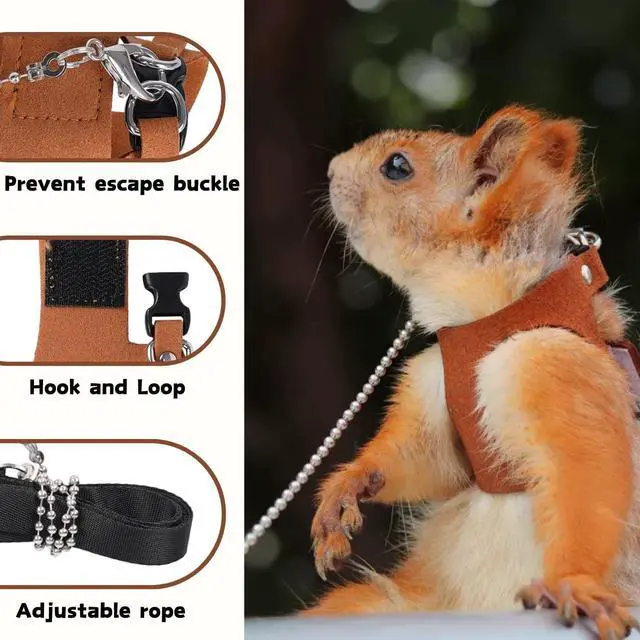 Alt view image 4 of 7 - 3 Pack Squirrel Harness and Leash Set - Adjustable Soft Leather & Traction Rope Strap Anti-Biting Chainfor Small Pet Walk Jogging Bearded Dragon Reptile Squirrel Rat