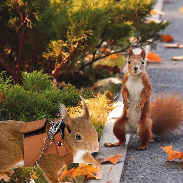 Alt view image 5 of 7 - 3 Pack Squirrel Harness and Leash Set - Adjustable Soft Leather & Traction Rope Strap Anti-Biting Chainfor Small Pet Walk Jogging Bearded Dragon Reptile Squirrel Rat