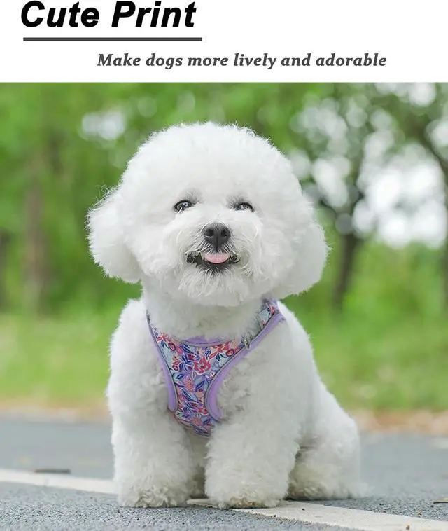 Alt view image 2 of 5 - Light Purple Flower Pattern Dog Harness and Leash Set,No Escape Puppy Harnesses for Training WalkingBreathable Adjustable Puppy Vest for Small Medium Dogs, Cats (Light Purple, XXS)