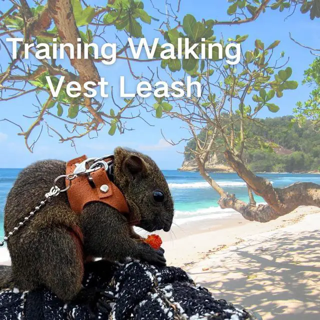 Alt view image 6 of 7 - 3 Pack Squirrel Harness and Leash Set - Adjustable Soft Leather & Traction Rope Strap Anti-Biting Chainfor Small Pet Walk Jogging Bearded Dragon Reptile Squirrel Rat