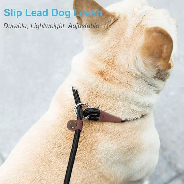 Alt view image 5 of 7 - MayPaw Slip Lead Control Leash for Dogs No Pull, 13+ Colors Classic Dog Lead 7 FT Pet Slip Leash, 1/4 Rope Leashes for Small Medium Animals (7ft*1/4", Black)