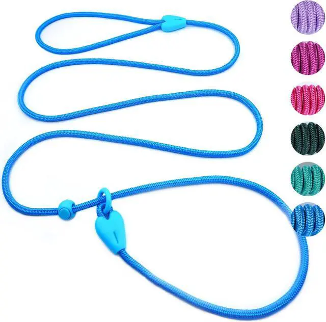 Main image of Slip Leads for Dogs Comfortable 6 FT Heavy Duty Loop No Pull Pet Training Leash 6 Colors Classic Dog Leash for Small Medium Dogs, Blue