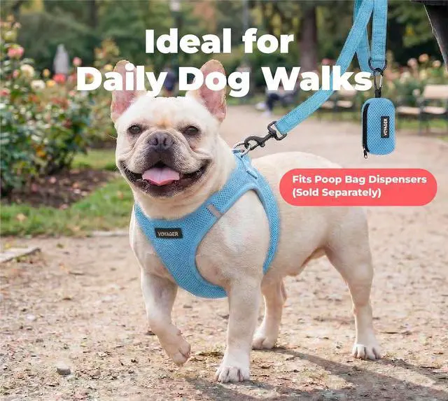 Alt view image 3 of 7 - Best Pet Supplies Voyager Nylon Dog Leash - Baby Blue, Small | 5ft in Length, 5/8" in Width, Reflective, Soft Neoprene Handle, Heavy Duty Metal Clips for Running, Walking & Training