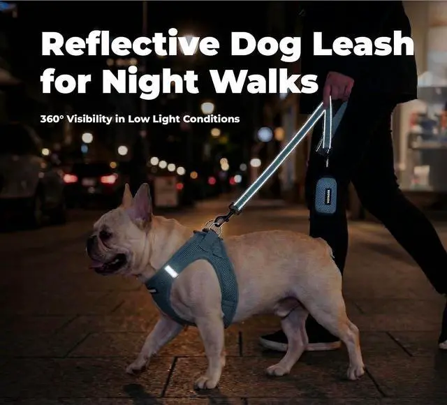 Alt view image 4 of 7 - Best Pet Supplies Voyager Nylon Dog Leash - Baby Blue, Small | 5ft in Length, 5/8" in Width, Reflective, Soft Neoprene Handle, Heavy Duty Metal Clips for Running, Walking & Training
