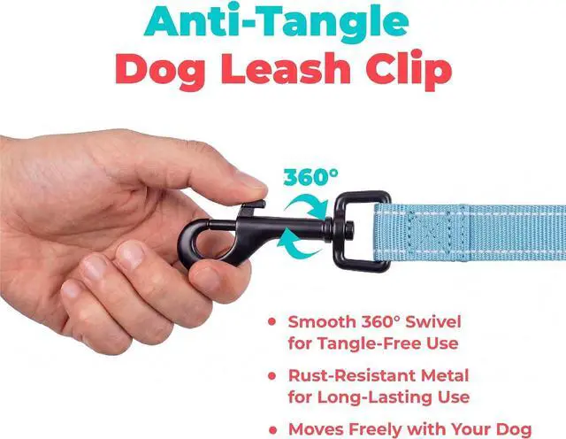 Alt view image 7 of 7 - Best Pet Supplies Voyager Nylon Dog Leash - Baby Blue, Small | 5ft in Length, 5/8" in Width, Reflective, Soft Neoprene Handle, Heavy Duty Metal Clips for Running, Walking & Training