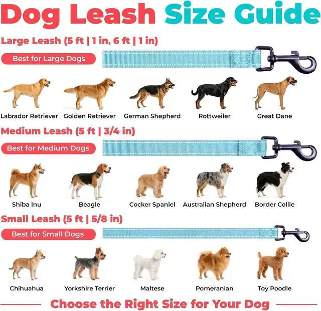Alt view image 6 of 7 - Best Pet Supplies Voyager Nylon Dog Leash - Baby Blue, Small | 5ft in Length, 5/8" in Width, Reflective, Soft Neoprene Handle, Heavy Duty Metal Clips for Running, Walking & Training