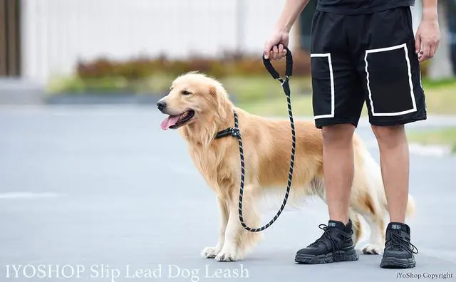 Alt view image 6 of 7 - iYoShop Durable Slip Lead Dog Leash, 1/2" x 6 FT, Black | Padded Handle, Reflective Threads, No Pull, Dog Training Leash