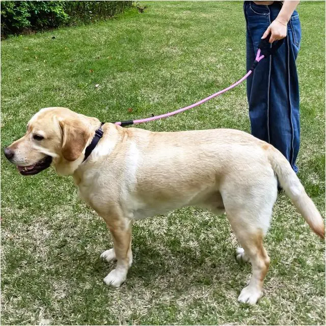 Alt view image 5 of 7 - MayPaw 3FT Heavy Duty Rope Dog Leash, 6/8/10/12/15/20FT Nylon Pet Leash with Soft Padded Handle, Thick Lead Leashes for Large Medium Dogs Walking Training (Pink-Blue dot, 1/2" * 3')